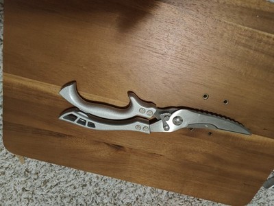 Stainless Steel Kitchen 10  Scissors