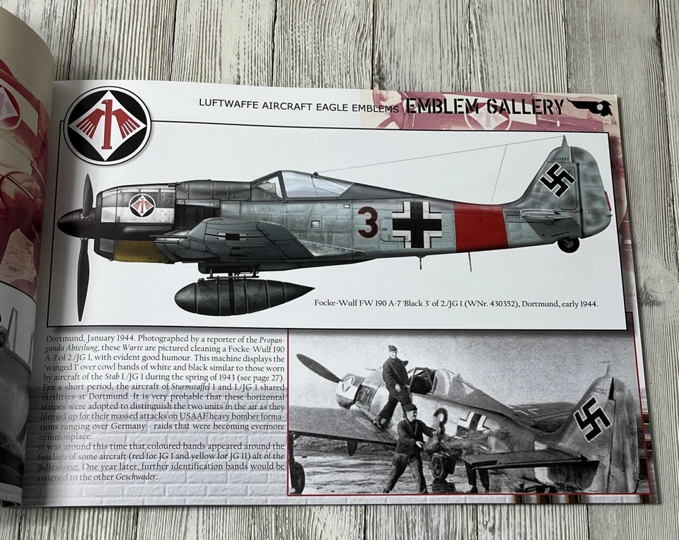 Luftwaffe Gallery #4 by Eric Mombeek (2013-11-09) - Image 3 of 4