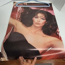 Vintage 1979 Jaclyn Smith “Pink” Wall Poster 20X28 Pro Arts #692 Charlies Angels