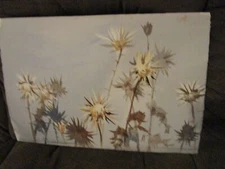 Original Watercolor By Peg Humphreys, Thistle & Floral 22"x 15"