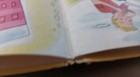Bild 12 von 14