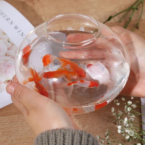 Plastic Transparent Round Fish Tank Desktop Aquarium Bowl small aquariums - Picture 9 of 16
