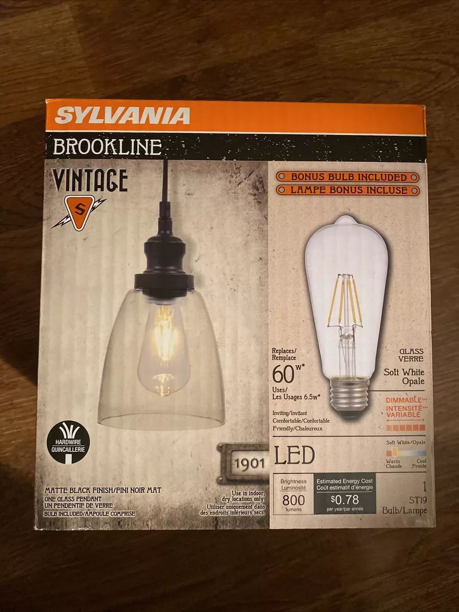 Sylvania Brookline Vintage Glass Pendant Light Fixture LED Bulb Included NEW