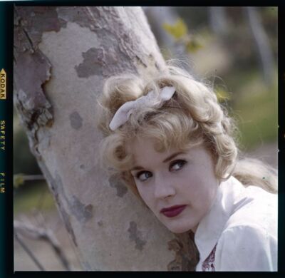 HAWAIIAN EYE connie stevens (RARE!!未開封） Lot of (3) 1960s CONNIE STEVENS Original Photo Transparency