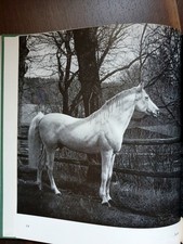 1955 Liebesbriefe um arabische Pferde * Vollblutaraber Marbach Hengste Stuten