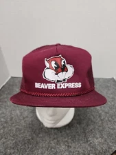  Hat Vintage Adjustable Snapback Cap Beaver Express 