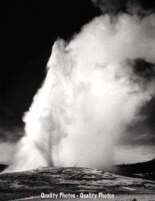 Old Faithful Geyser Yellowstone National Park 8.5x11