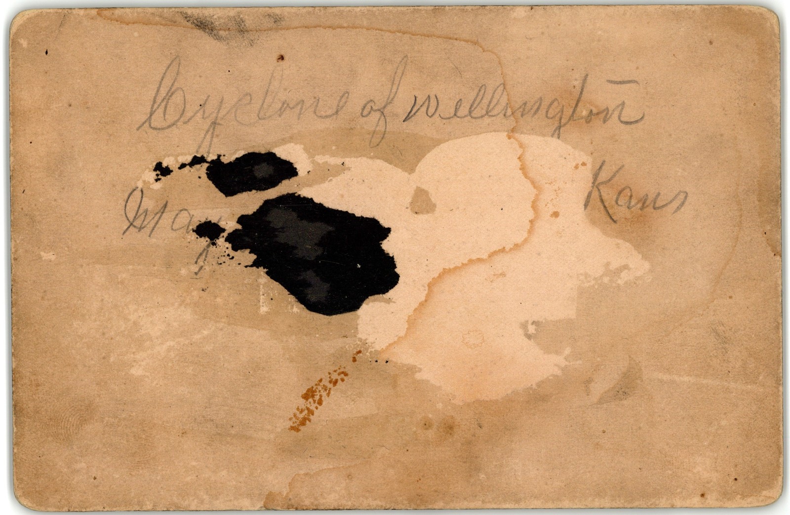 Cabinet Card Circa 1890s Cyclone Tornado Aftermath Disaster Wellington Kansas — additional view