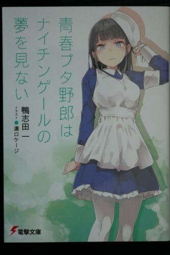 JAPAN novel: Rascal Does Not Dream of Nightingale (Series vol.11) - Picture 1 of 8