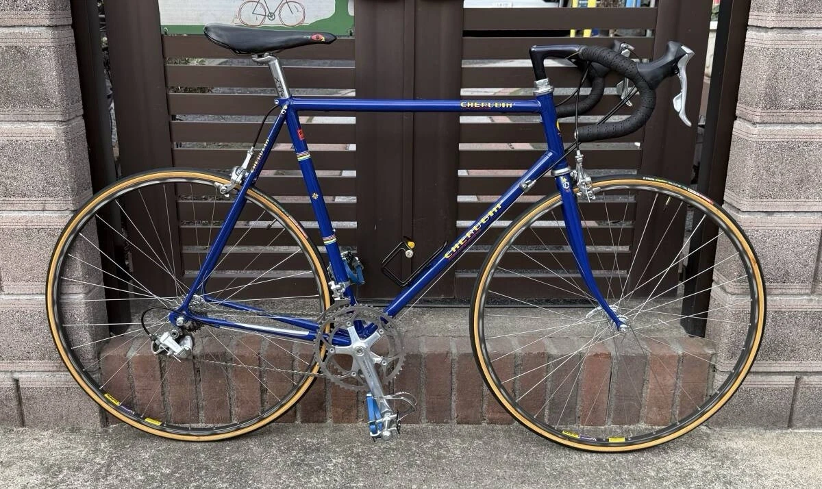 Vintage Dura ACE Indiana Vintage Bikes for sale | eBay