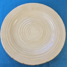 Linens-N-Things Solid Tan, Embossed Rings, Smooth Brown Trim Tan Dinner Plate