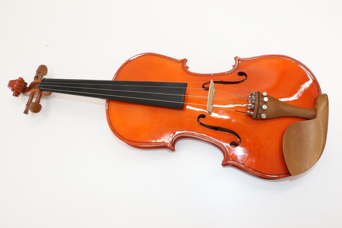 Cecilio Full Size 4/4 Violin With Hard Case & Shoulder Rest - Solidwood Ebony Fitted Violin With D'Addario Strings, Ideal For Beginners