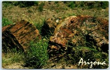 Postcard - Petrified Forest National Park, Arizona