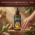 KIGELIA AFRICANA Oil African Sausage Tree - RAPID ABSORPTION - 100ml