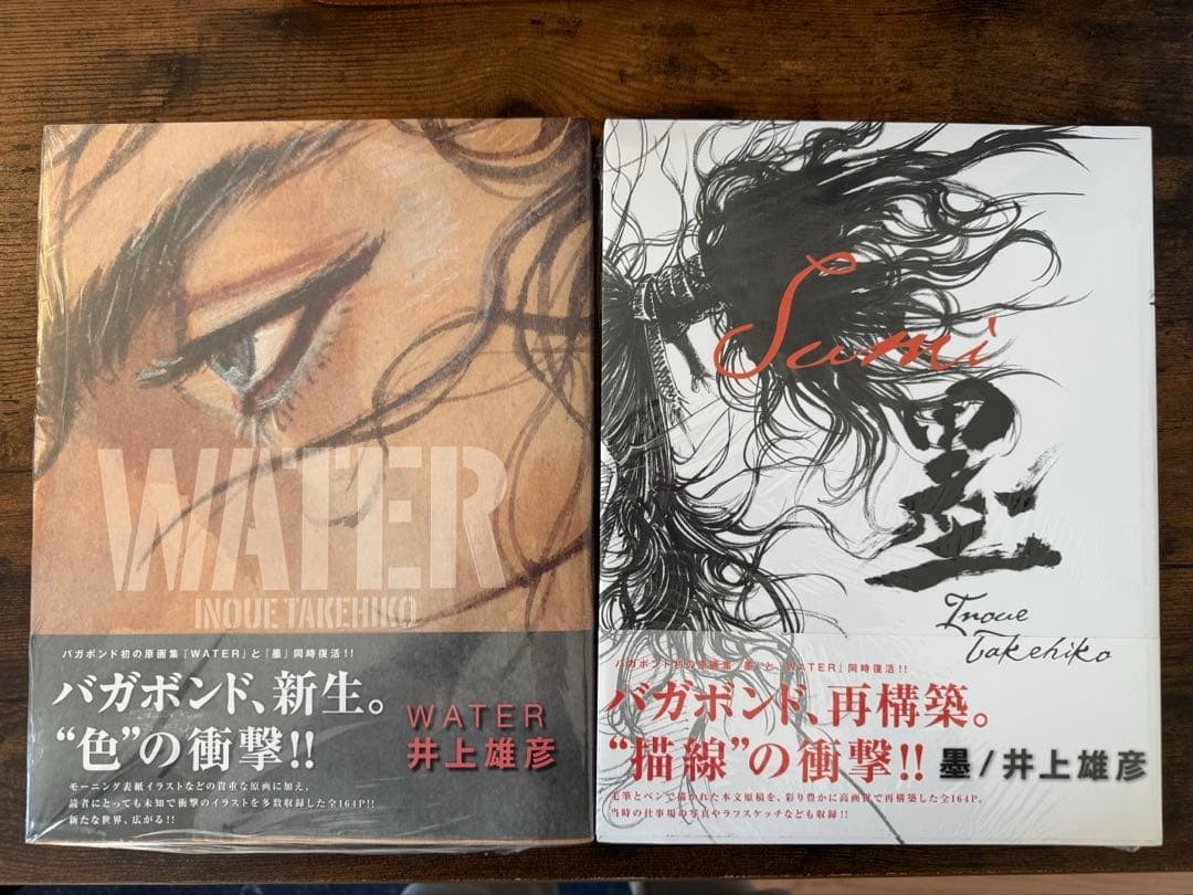 Takehiko Inoue Vagabond Art Book Set Sumi & WATER Illustration from Japan