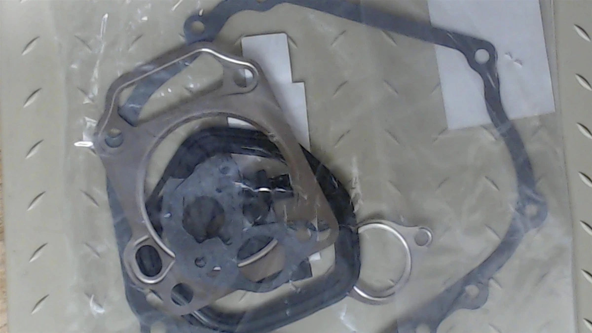 Genuine Ariens Sno-Thro Engine Gasket Kit Part# 20001279 | eBay 