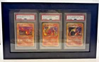 Pokemon Cards PSA 10 Dark Charizard Dark Charmeleon & Dark Charmander JPN Framed
