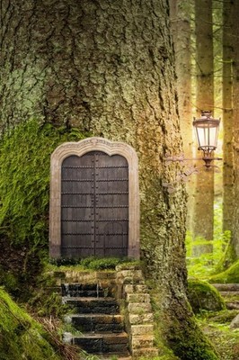 Forest Door: Discreet Internet Password Logbook. Large Print. Protect and Organi