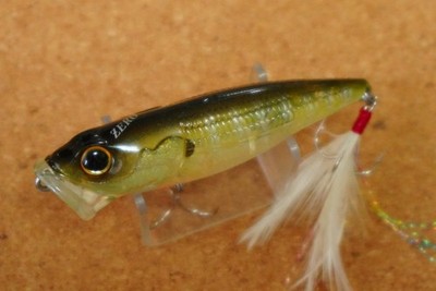 Daiwa T.D. Popper  Zero  1070F      (M869JN3