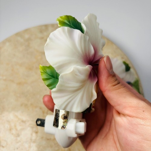 Ibis & Orchid Hummingbird & Hibiscus Night Light Extra Set Marble Hand Painted - Picture 4 of 10