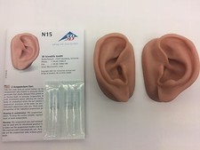 3B Scientific Acupuncture Ear Anatomy Learn Left  Right Set Skinlike Silicone