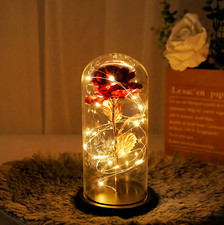 Christmas Rose Gift for Women Mom Girlfriend Wife Valentines Birthday Presents