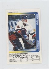 1991-92 Panini Album Stickers Glenn Healy #249 0au4