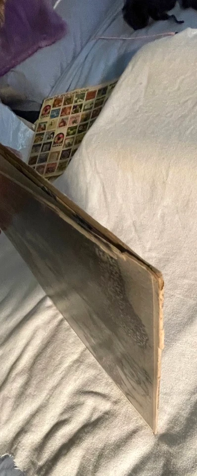 LINDA RONSTADT & THE STONE PONEYS - STONEY END - PICKWICK RECORDS LP -SPC -3298 Foto 4 de 4