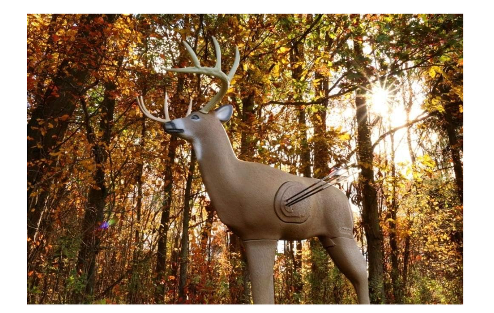Shooter Buck 3D Deer Archery Target eBay