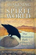 Awakening to the Spirit World: The Shamanic Path of Direct Revelation - GOOD