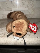 Ty Beanie Baby Bucky The Beaver With 3rd Gen Hang Tag 2nd Tush