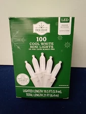 Cool White Mini LED Light String 100 Count White Wire Indoor/Outdoor 19.5 Ft
