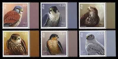 ISLE OF MAN 2023 - Birds of prey Raptor Bird Oiseau Falcon Merlin Fauna Animal