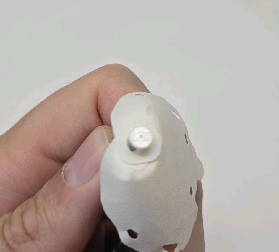 Foto 6 di 6