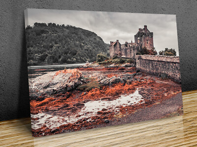 Eilean Donan Castle in Scotland canvas print art framed or print only  
