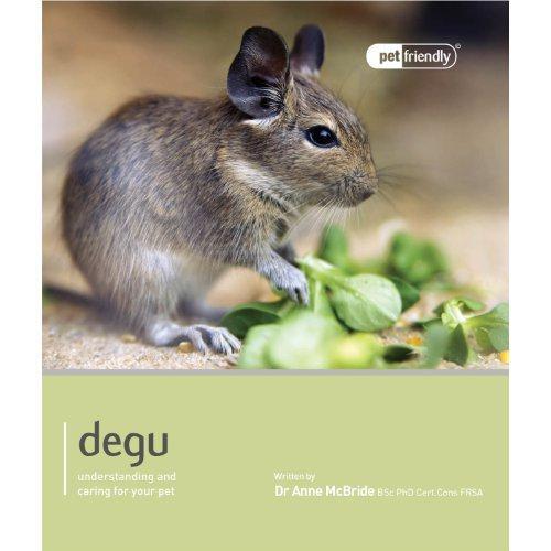 Degu Pet Friendly UK