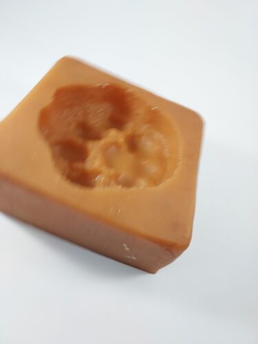 Custom Made Rubber Mold Mountain Lion FOOTPRINT Paw Print Cougar Puma Arizona #3 - Picture 5 of 10
