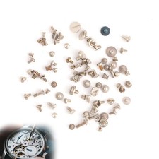 100pcs Watch Battery Clamp Screws, Watch Battery Clamp Tiny Small Screw