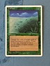 Lifelace, Fourth Edition, Magic the Gathering MTG
