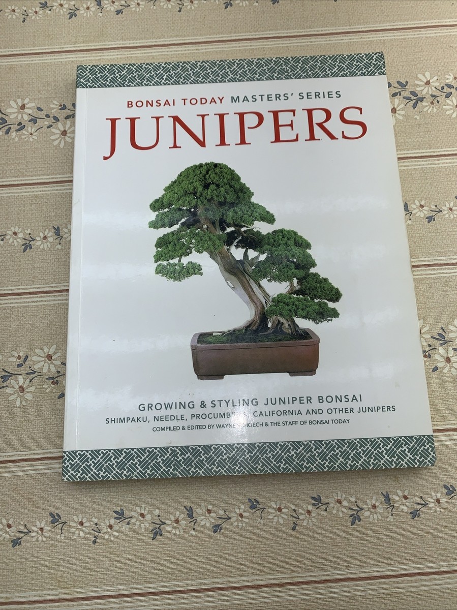 Bonsai Today Masters' Ser.: Junipers : GROWING and STYLING JUNIPER BONSAI  by... 9780976755036| eBay