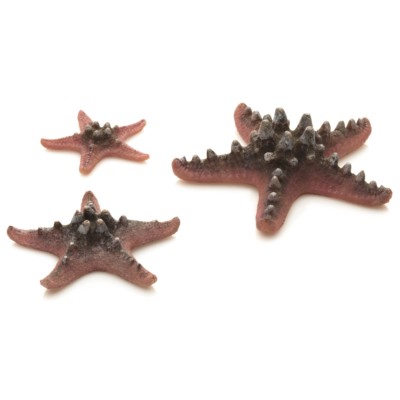 biOrb Aquarium Dekoration künstlicher Seestern Set 3 pink