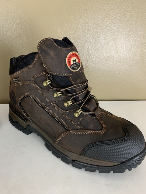 irish setter king toe