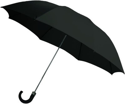 2-Fold Auto Open Umbrella - With Storage Sleeve and J Hook Handle - Made in USA