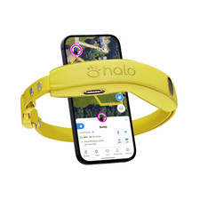 Halo Collar 4 Wireless Dog Fence and GPS Collar System, Sunburst Finish