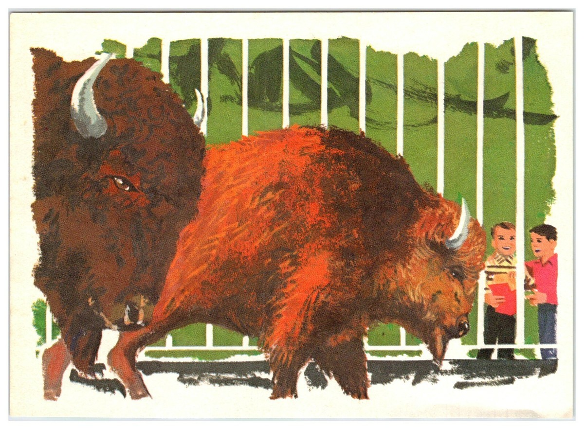BUFFALO ZINE バッファロージン No.1 アートブック Buffalo Zine 1-3