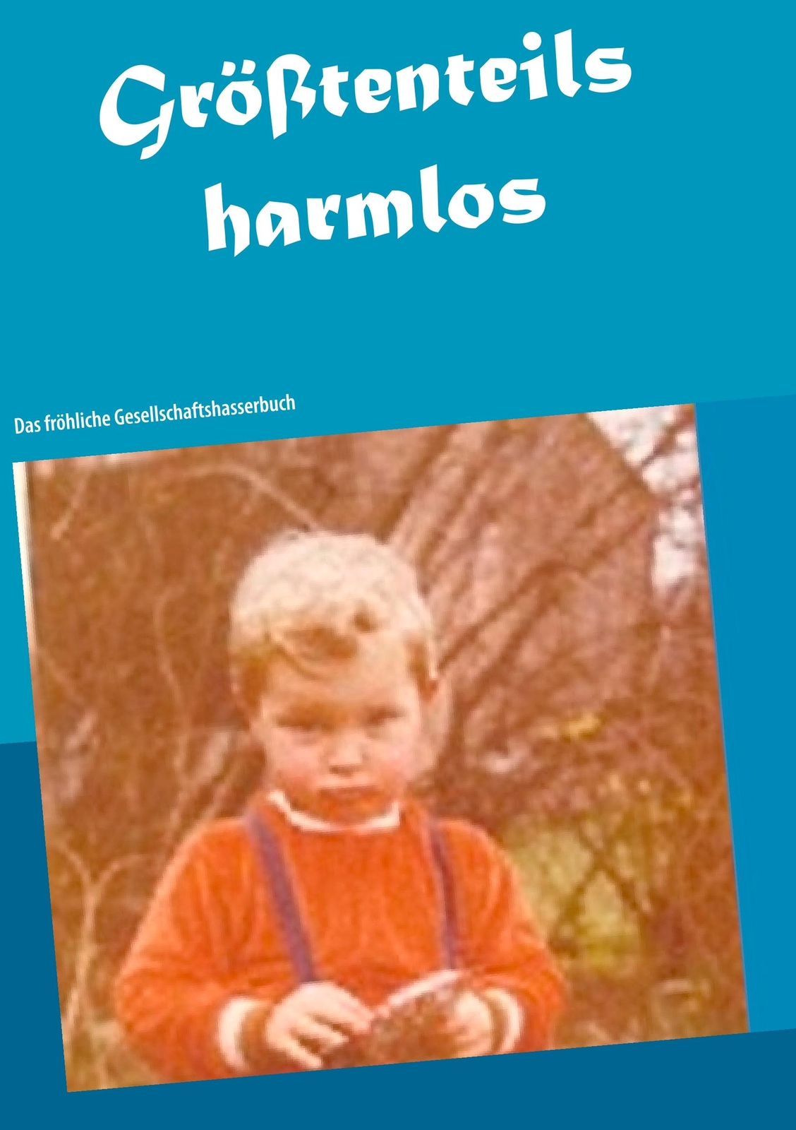 Größtenteils Harmlos | Buch | 9783752817256