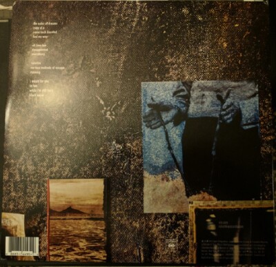 洋楽 nine inch nails Hesitation Marks vinyl Nine Inch Nails Hesitation Marks 180g 2LP