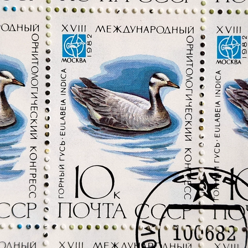Russia 1982 USSR Rare Birds CTO 216 Stamps 6 Full Sheets 36 Sets SC $57.60 - Image 4 of 4