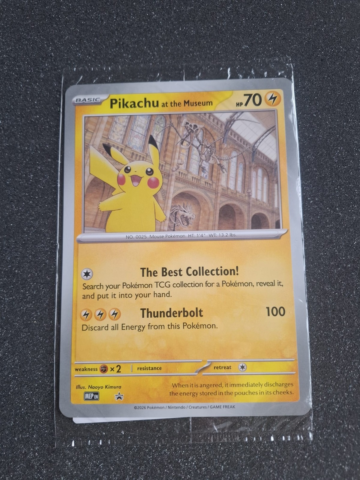 Pokémon TCG - Pikachu at the Museum - UK Oversize Promo Card (Brand New)