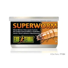 Exo Terra Superworms 1.1 oz